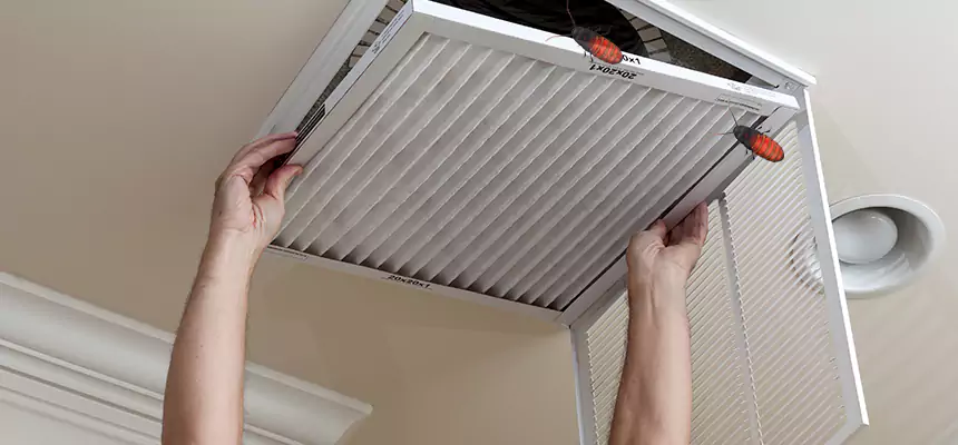 Our Insect Removal from Air Ducts Services in Cleveland Heights, OH