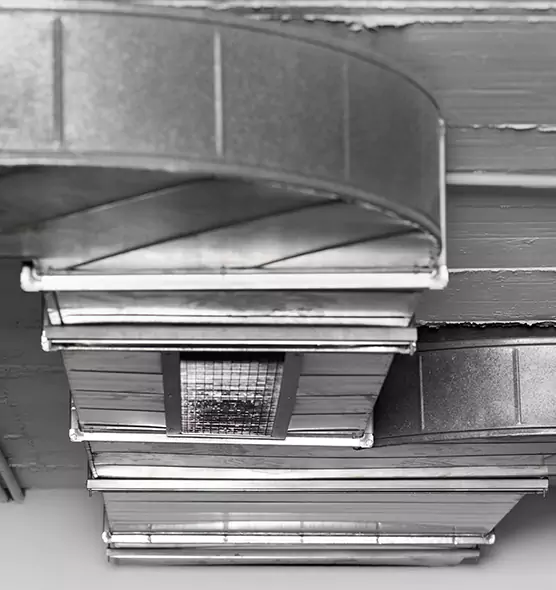 Professional Air Duct Pest Removal in Cleveland Heights, OH