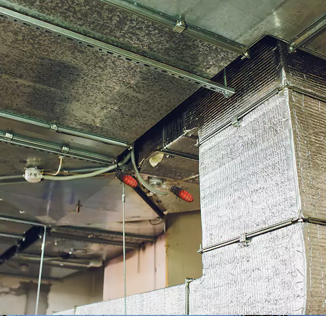 Why Homeowners & Businesses Trust Us in Cleveland Heights, OH?