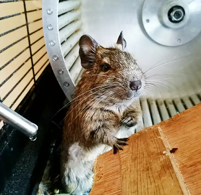 Why Homeowners & Businesses Trust Us Cleveland Heights, OH